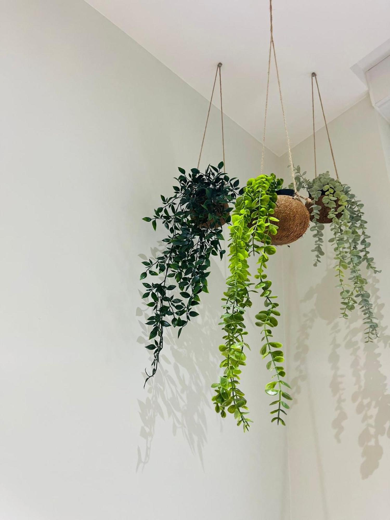 Appartement Exotique Avec Bain Balneo Liegi Esterno foto